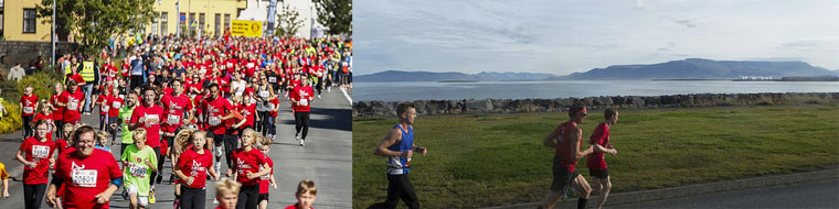 Reykiavik wyjazdy i Maraton BP Gryf